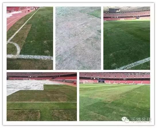 球迷采访之曼市德比无奈泡汤