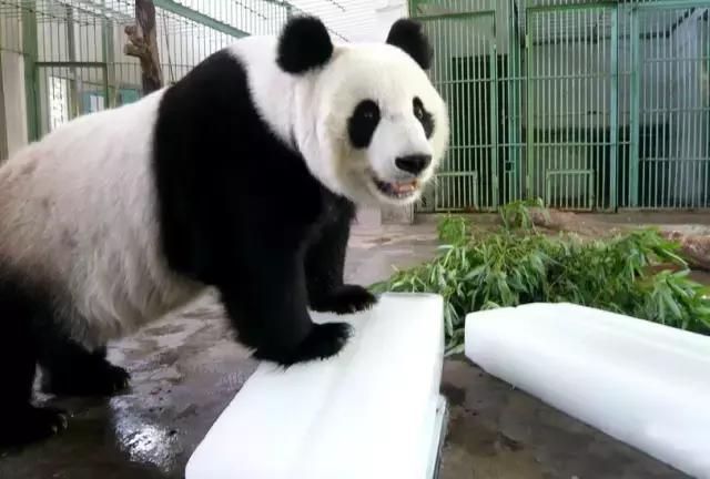 株洲人正经历最可怕的“烤验”！要关注，你的防暑方式都是错的！