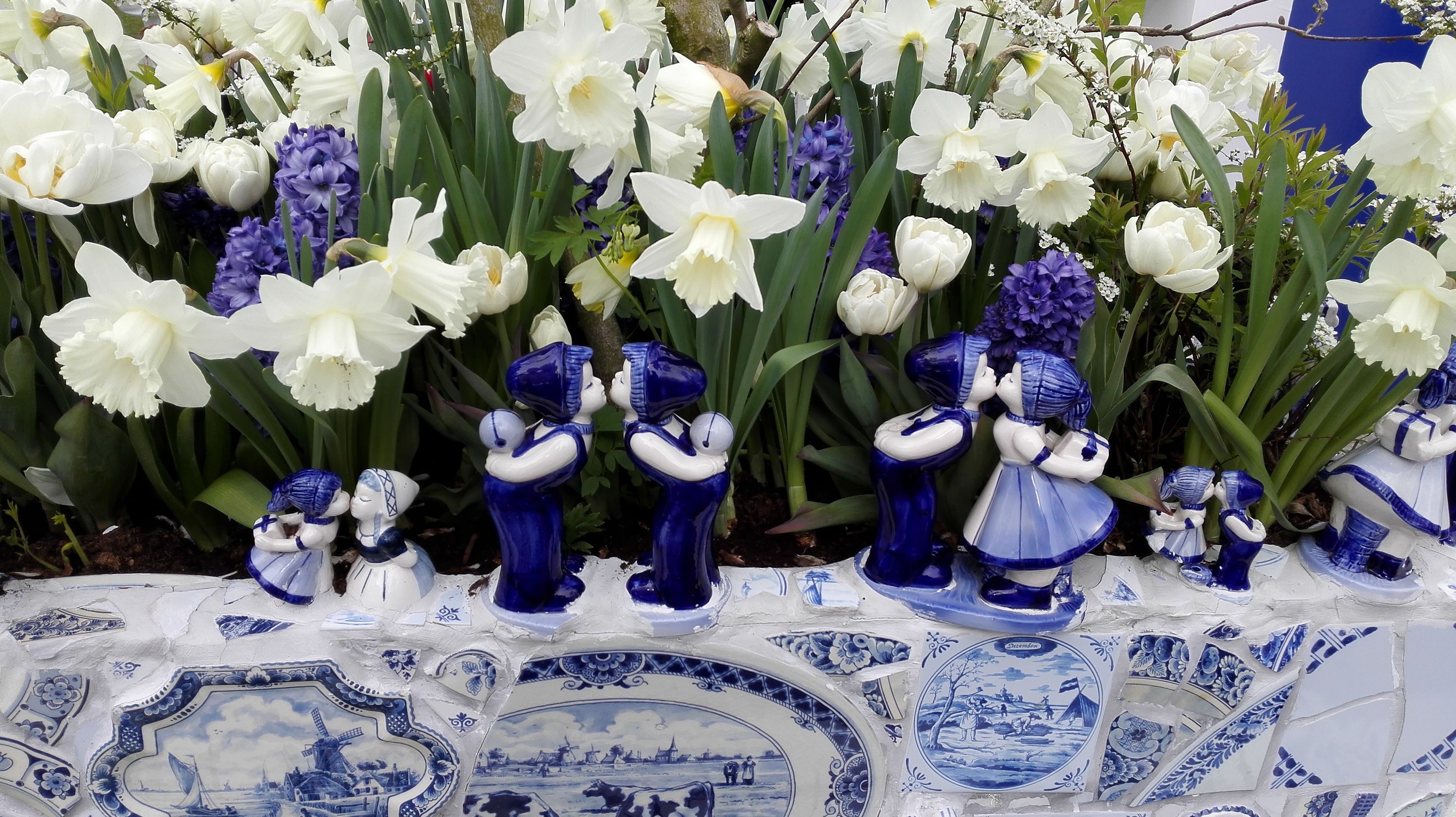 荷兰奶粉哪种是最好的,荷兰奶粉有什么秘密