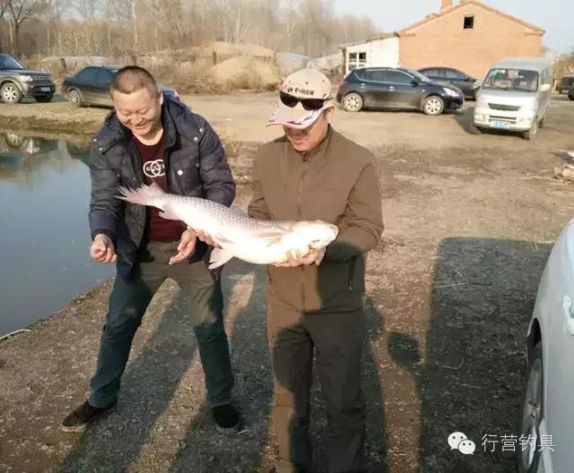 一入钓鱼深似海,一入黑坑