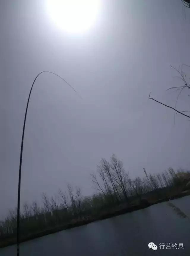 一入钓鱼深似海,一入黑坑