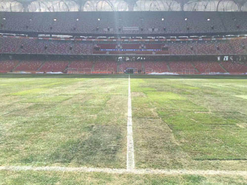 冰岛足球和中国足球,中国足球对冰岛比分预测