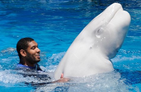 nba球星的副业都有啥,盘点nba球员那些不可思议的操作