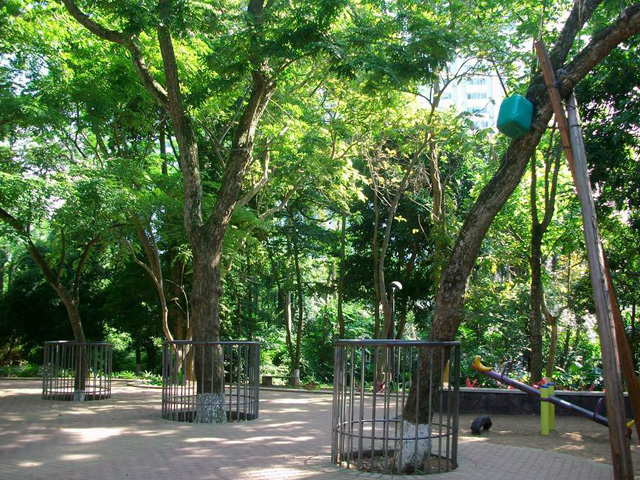 水里发现千年阴沉木,大水真的冲了龙王庙了吗