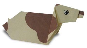 儿童折纸大全1000种,100种折纸怎么折简单又好看