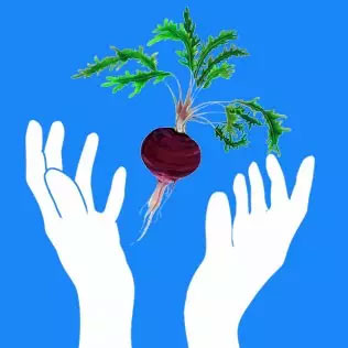 云南黑玛咖片的价格,云南丽江螺旋藻片多少钱一盒