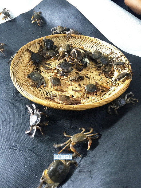 潮汕咸膏蟹是用什么蟹,潮汕腌制的螃蟹