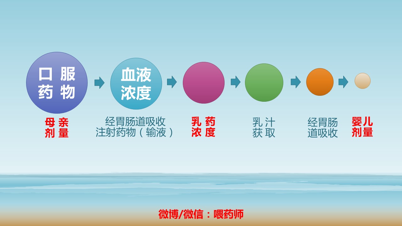 哺乳期用药课件,微课护理内分泌