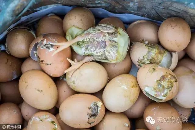 商贩路边孵小鸡，8000左右“防暑”游戏本推荐