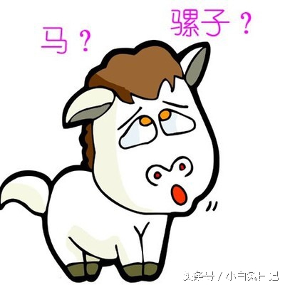 骡子是马和驴的杂交物种吗,骡子和骡子为什么不能繁衍后代