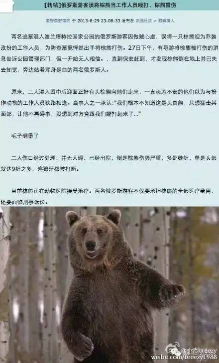 两名俄罗斯人把棕熊打成重伤？假的