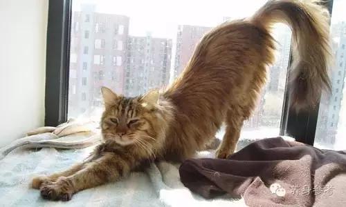 预防心脑血管最好的方法,护脑最好的动作