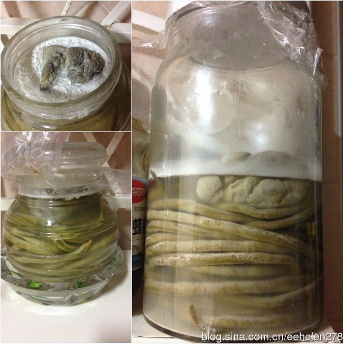 四川酸豆角的腌制方法不会长白毛,酸豆角上面长白毛正常吗