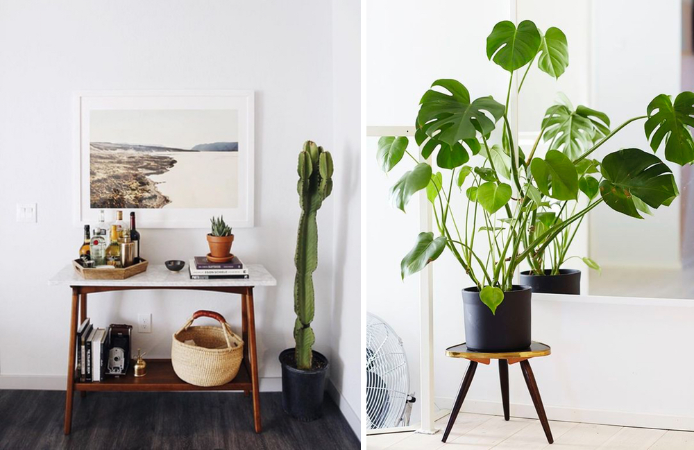 吃那么多土，不就为了在家做个小公主？