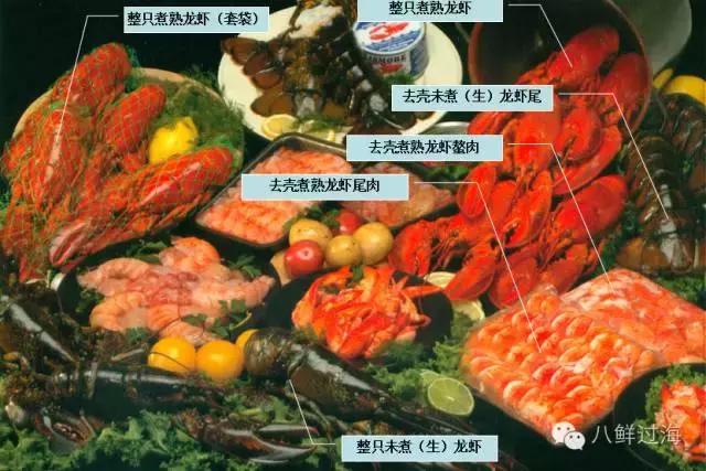 人气直追小龙虾的加拿大龙虾，关于它的干货都在这里
