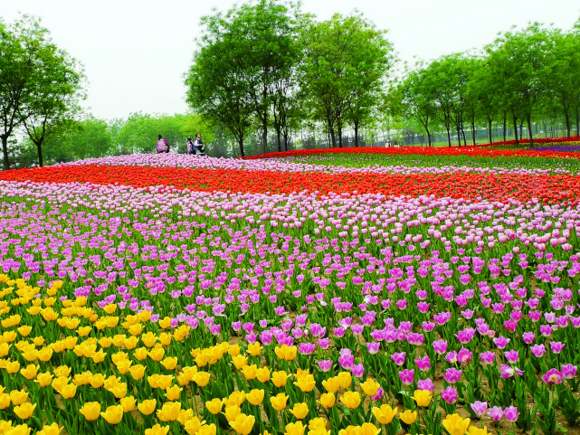 在北京顺义买房值得吗,在顺义区买房攻略