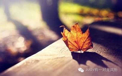 龙凤胎是怎样炼成的？Judy的小秘密哦，一般人我不告诉Ta