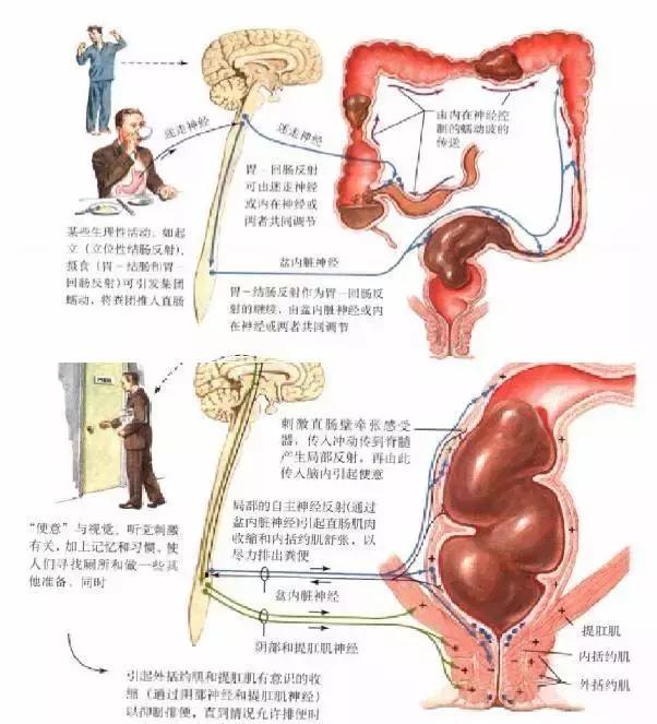 活人能让屎憋死吗,活人还能让尿憋死吗