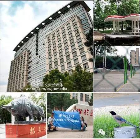 一周概览：点点看，农大大事小情全知道（7.23~7.29）