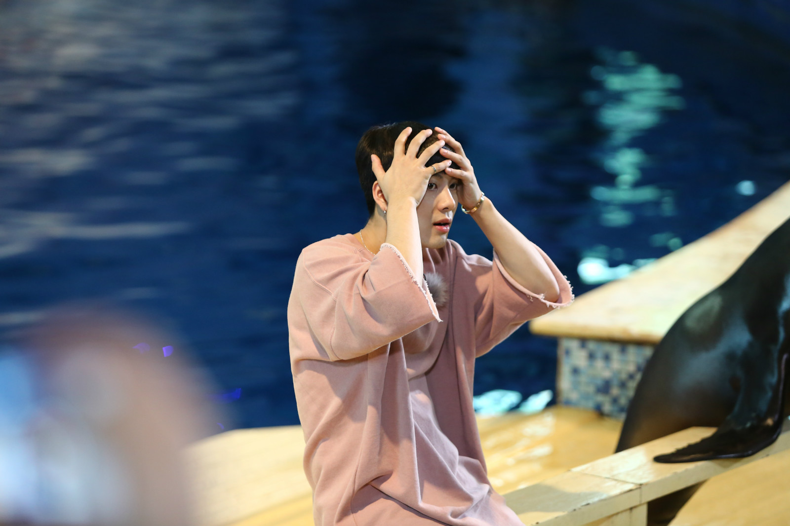 我们战斗吧王嘉尔恐高撒娇,我们战斗吧王嘉尔飞檐走壁