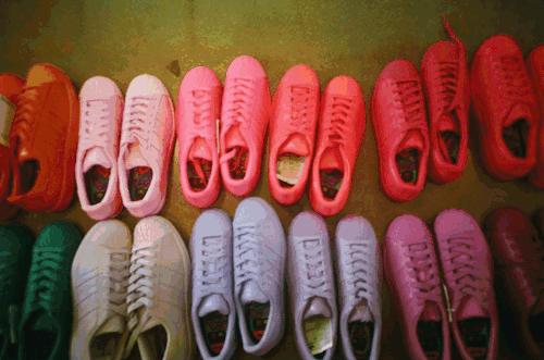 丸丸被妈妈忽悠现场,丸丸被妈妈忽悠