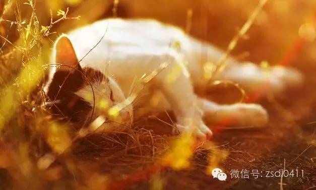 等我老了，就在大连这样过|终极版