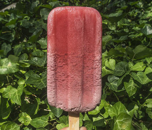 （城记|小灰枣）皮卡皮卡~皮卡丘~