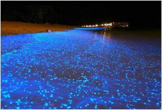 福鼎嵛山岛游玩朋友圈,渔山列岛打卡