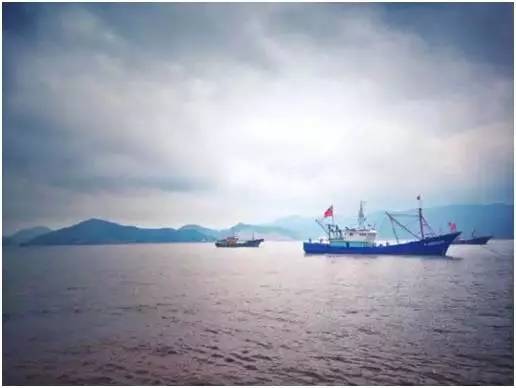 福鼎嵛山岛游玩朋友圈,渔山列岛打卡