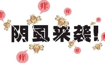 得了阴虱病治疗几天可以治愈,阴虱啥病