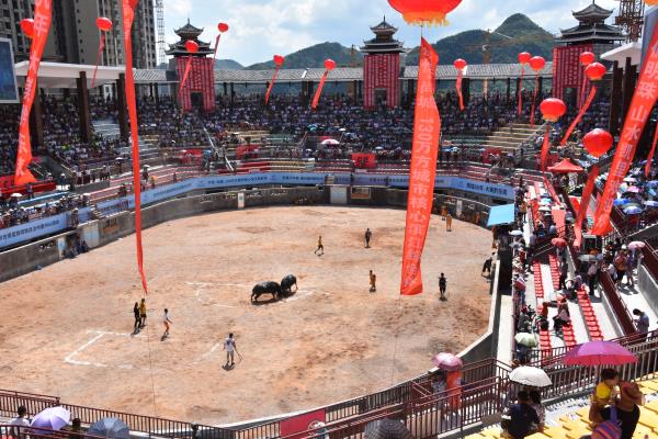 2018凯里斗牛大赛,中国斗牛超级联赛