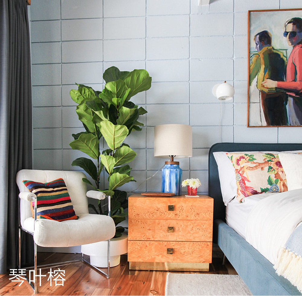 吃那么多土，不就为了在家做个小公主？