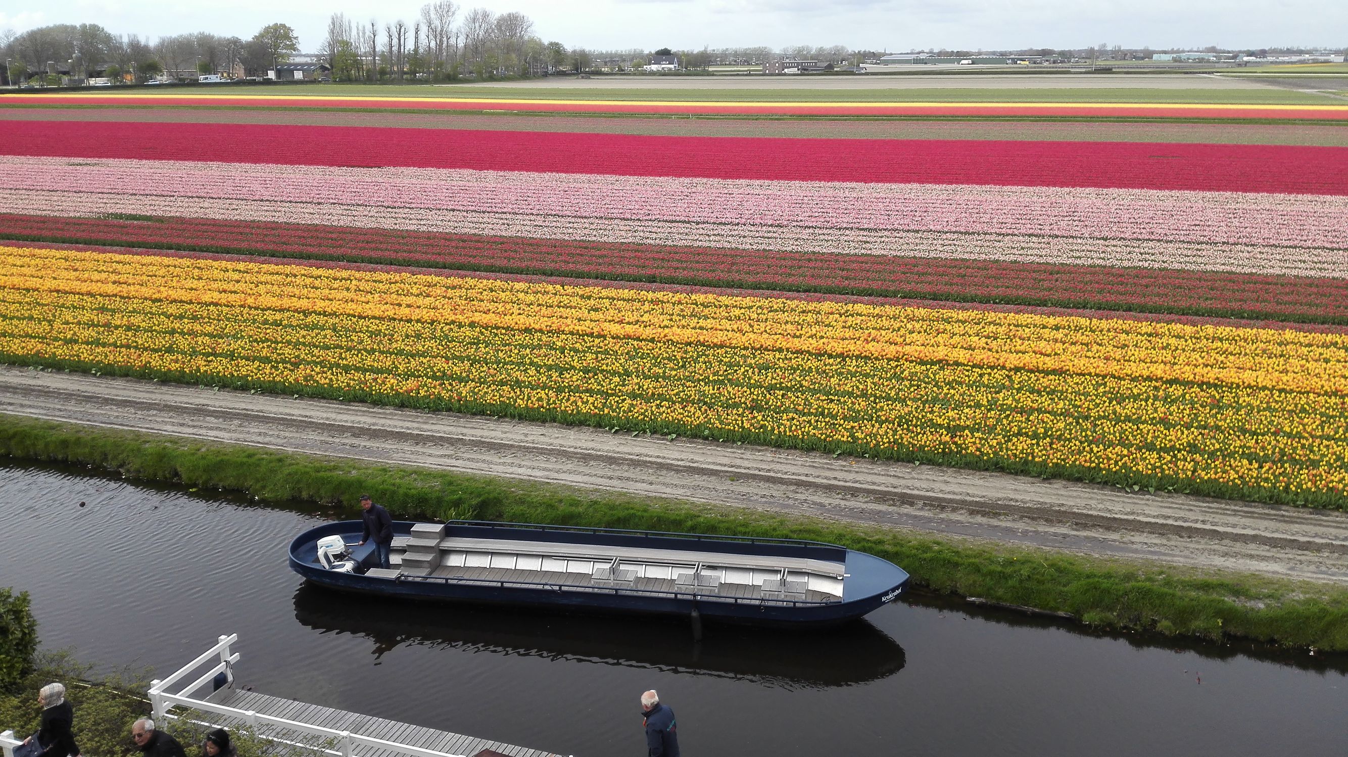 荷兰奶粉哪种是最好的,荷兰奶粉有什么秘密