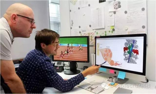 博尔特的速度超过人类极限,为什么博尔特是历史上最快的人