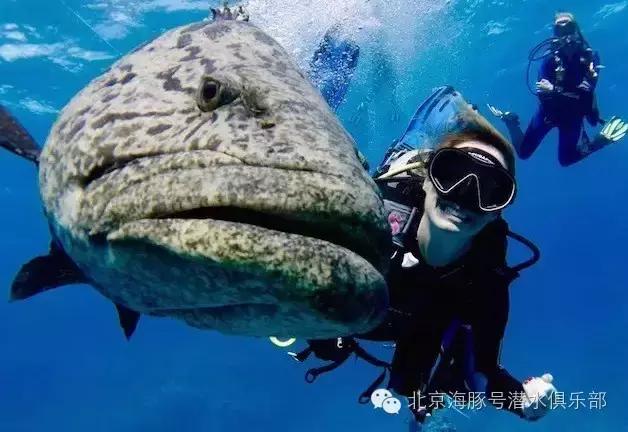 潜水员培训理论课程,如何开始船宿潜水