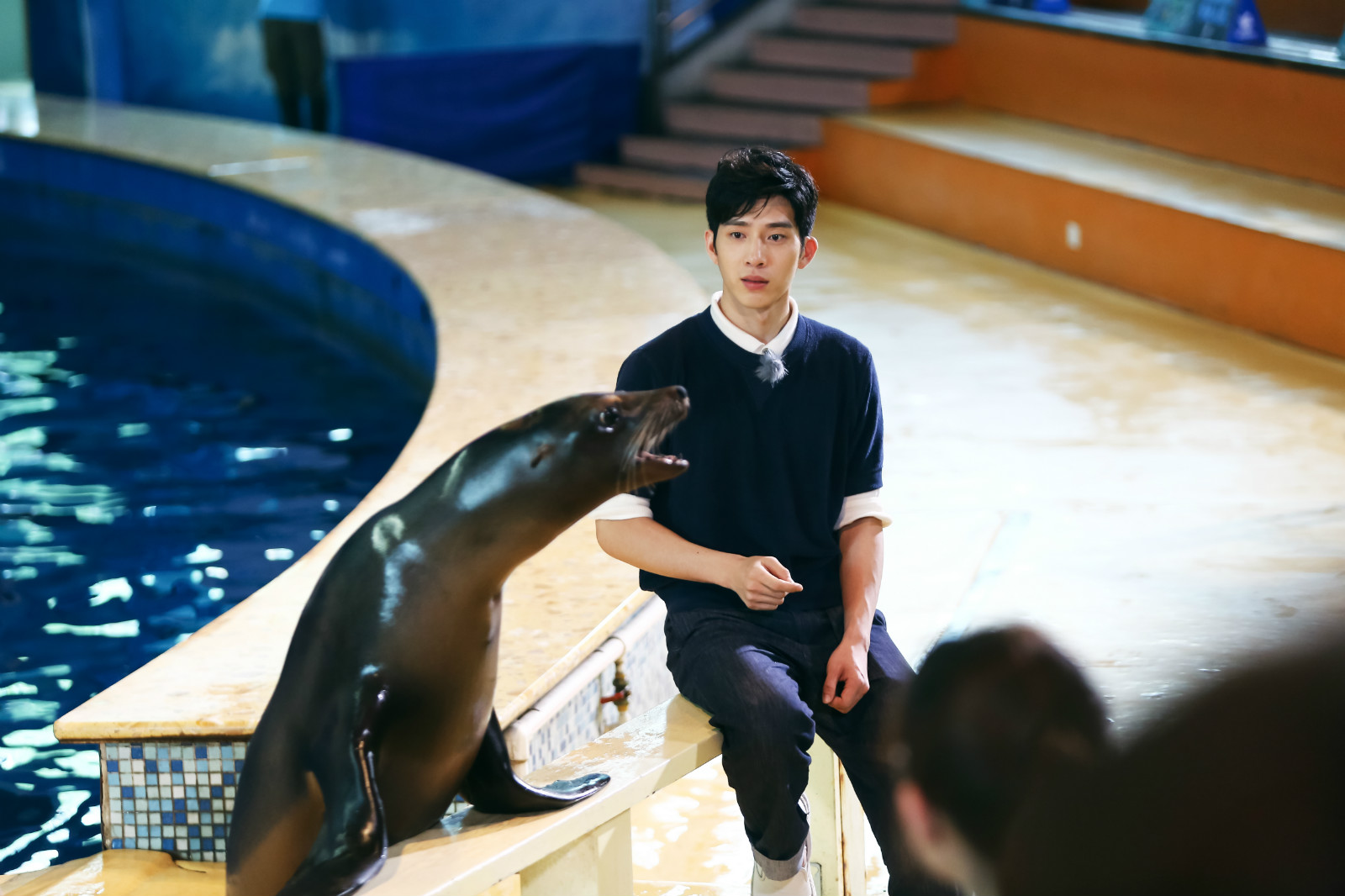 我们战斗吧王嘉尔恐高撒娇,我们战斗吧王嘉尔飞檐走壁