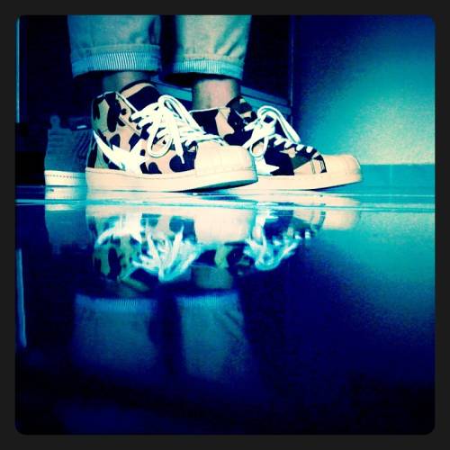 丸丸被妈妈忽悠现场,丸丸被妈妈忽悠