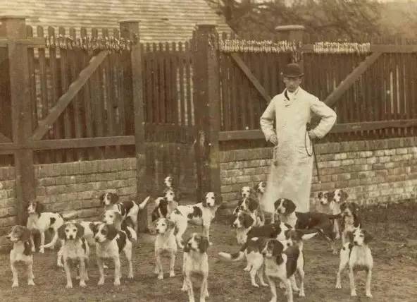 snoopy史努比是哪国品牌,snoopy史努比是什么动物