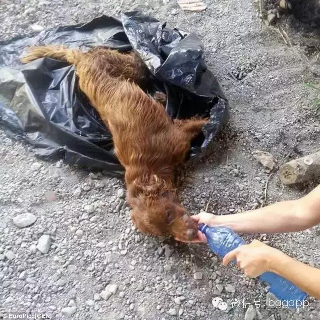 高温天气谨防中暑温馨提示,高温天气谨防中暑消防安全提醒