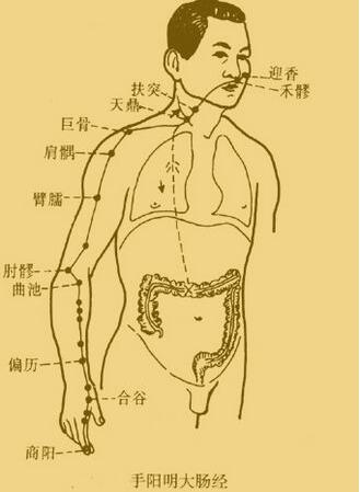 大肠经不通引起牙痛如何解决,大肠经不通会引起口干吗