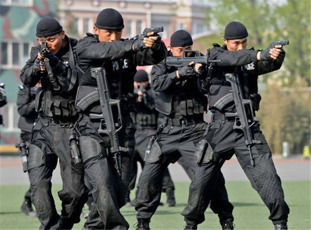 香港皇家警察之飞虎队,天下有警美国警察