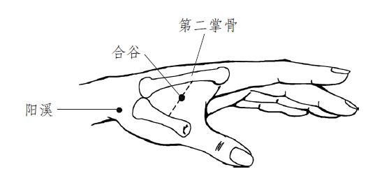 大肠经不通引起牙痛如何解决,大肠经不通会引起口干吗