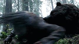 两名俄罗斯人把棕熊打成重伤？假的