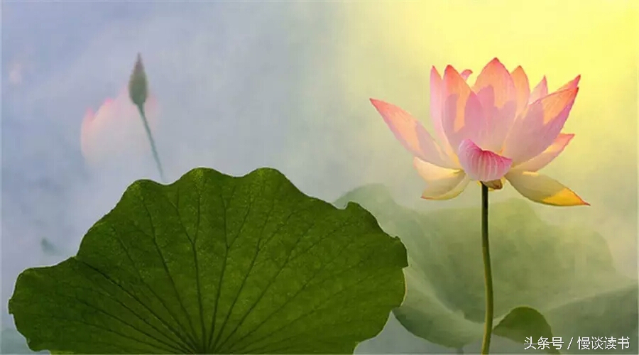 如何阅读一本英文原著,外国文学必读100本书