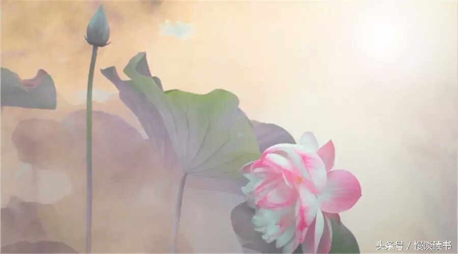 如何阅读一本英文原著,外国文学必读100本书