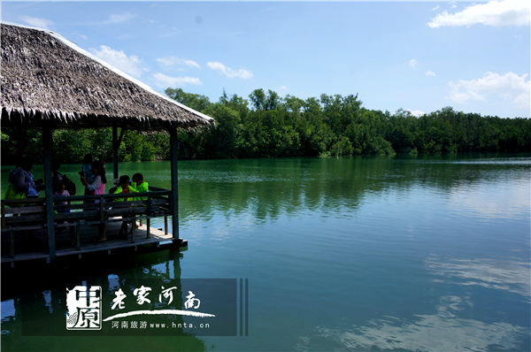 金秋沙巴游 (暑假去沙巴旅游攻略)