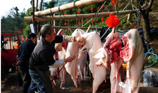 有钱没钱回家过年完整版,有钱没钱回家杀猪过年