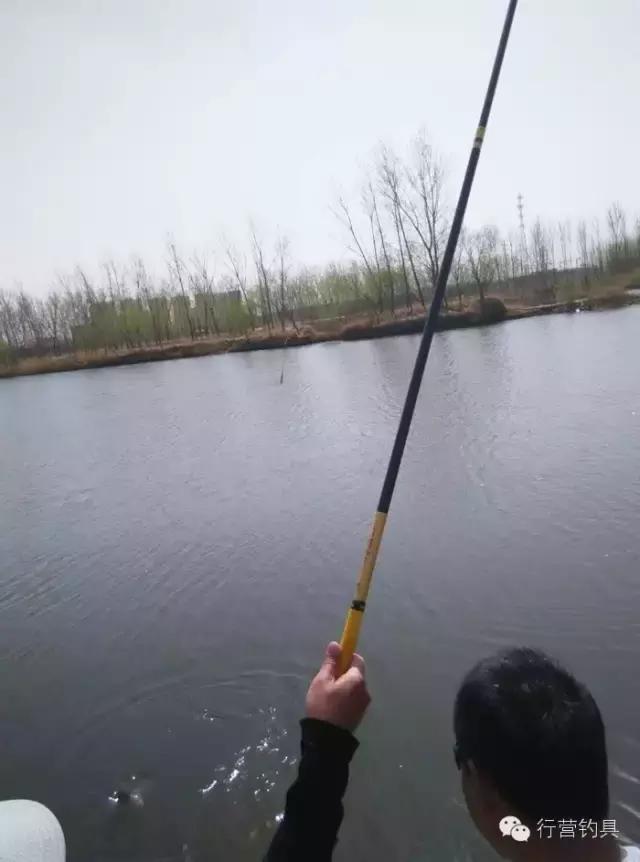 一入钓鱼深似海,一入黑坑