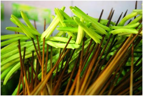 李记称盘串串火锅店,李记称盘串串牛杂火锅