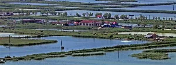 陕西100个示范村名单 (陕西省级示范村名单)